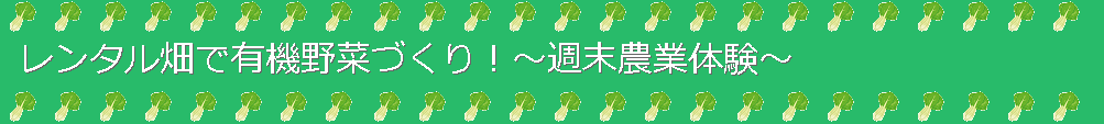レンタル畑で有機野菜づくり！～週末農業体験～