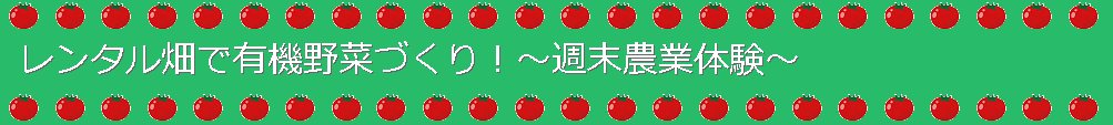 レンタル畑で有機野菜づくり!~週末農業体験~