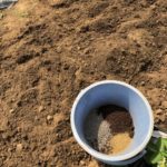 中玉トマト（シンディスウィート）0週目。肥料をまいて土づくり。